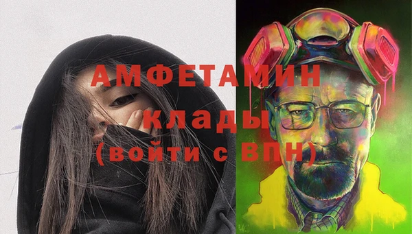 дурь Няндома