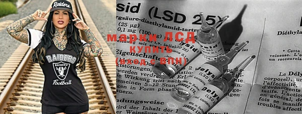 альфа пвп Новодвинск