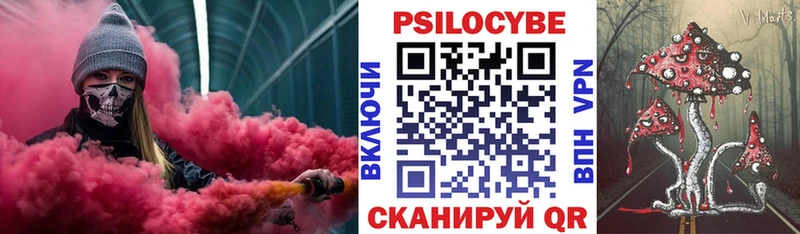 Купить  Тутаев  Псилоцибиновые грибы мухоморы 